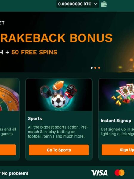 Using MetaMask for Anonymous Casino Deposits​?